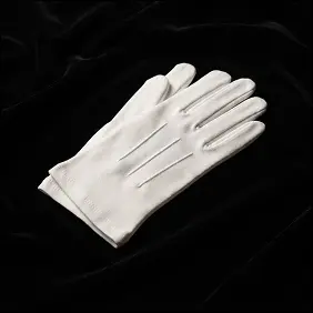 Masonic Gloves